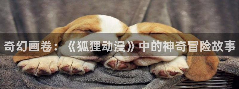 动漫之家苹果版下载：奇幻画卷：《狐狸动漫》中的神奇冒险故事